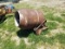 Three Point Hitch Concrete Mixer
