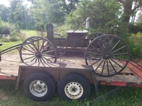 Nice Doctor's Buggy