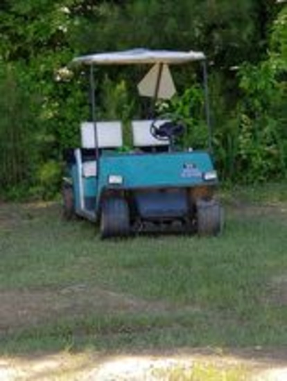 Electric Golf Cart