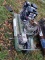 Two Roofers Air Compressors