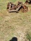 CUTTING HARROWS