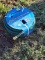 New 50' Water Hose
