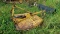 WOODS BUSH HOG