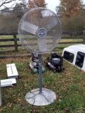 Shop Fan on Pedestal