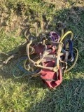 Horse Halters