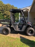 4X4 BULLDOG SIDE BY SIDE. LIKE NEW