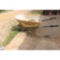 Two Wheel Barrows