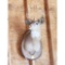 Eight Point Deer Head Mount