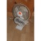 Fans - 3