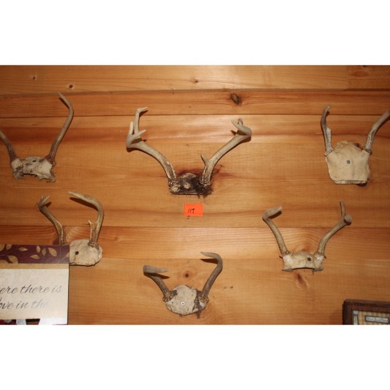 8 - horn mounts