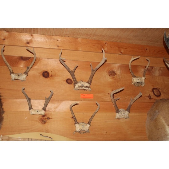 7 - horn mounts