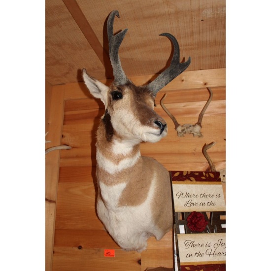 Prong horn mount