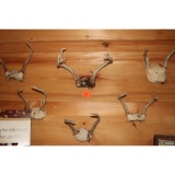 8 - horn mounts