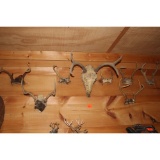 8 - horn mounts