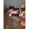 Christmas and Halloween Decorations