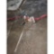 Pump with Hose and Nozzle