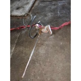 Pump with Hose and Nozzle
