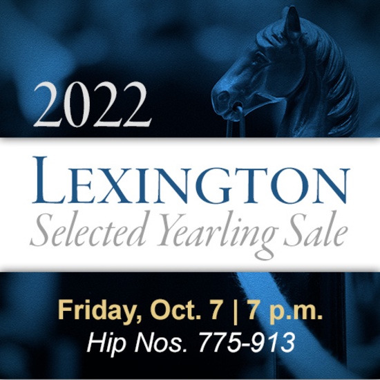 Lexington Selected Sale 2024 India Brooke Harmony