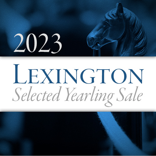 Lexington Selected Yearling Sales Company