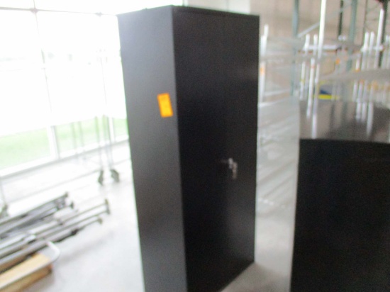 Tall 2 - Door Metal Cabinet