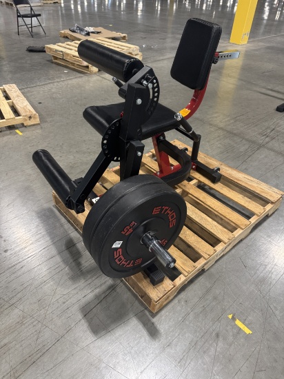 GMWD Leg Curl and Extension Machine, with 45 lbs Ethos Plate Weights