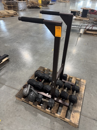 Rogue Rubber Hex Dumbbells and Dip Bar
