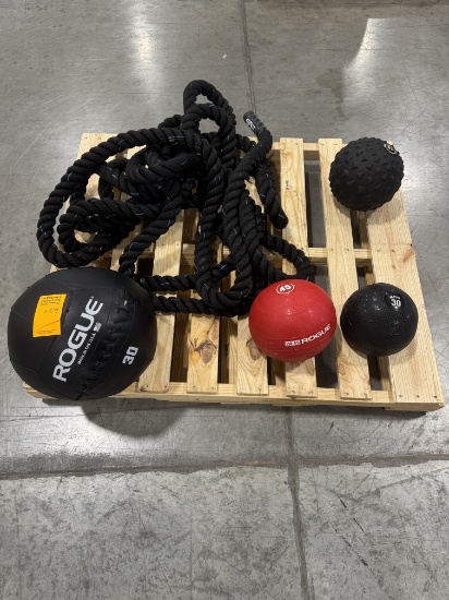 GSE Battle Rope, 4 Weighted Balls