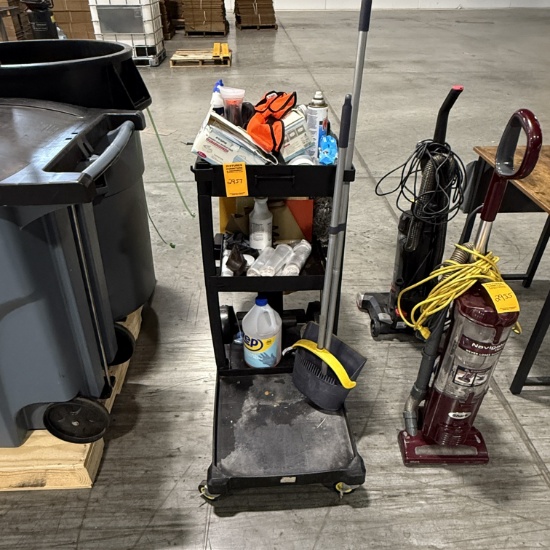 Cleaning Cart