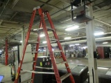 10ft Fiberglass Step Ladder