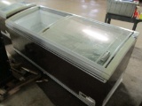Fricon - Coffin Type Reach In Freezer