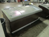 Fricon - Coffin Type Reach In Freezer