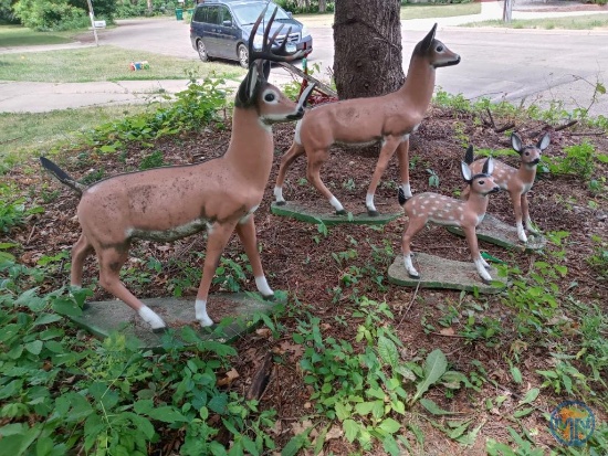 (4) Cement deer: buck, doe, and (2) fawns