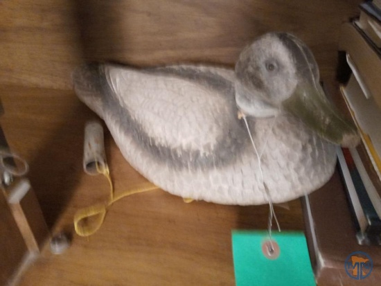 Vintage styrofoam duck decoy, outdoor reference books