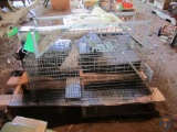 (2) Havahart live animal traps