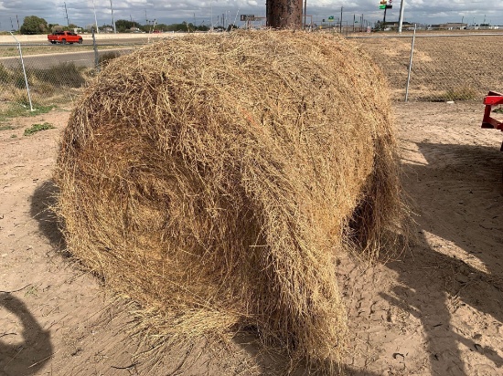 Round bale of Hay