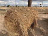 Round bale of Hay