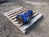 Ansimag Drive Pump