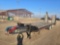 2019 Kaufman Tag-A-Long Equipment Trailer