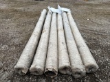 NEW/UNUSED Qty of (6) 6 FT ... 100 FT Rustproof Galvanized Iron Wire Mesh Rolls