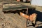 Tilt Deck Trailer with Wood Floor 16x8