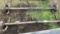 (2) 8 lug trailer axles