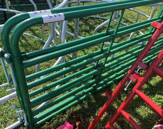 12ft Bull Gate
