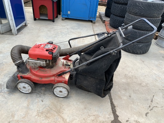 Troybilt CSV 060