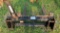 Loader Forks