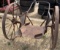 Steel wheel cart