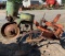 3pt 1 row planter