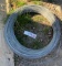 (1) Roll - High tensile wire