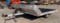 Aluminum Tilt-bed Trailer 8 ' 4