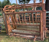 Squeeze chute  with automatic headgate