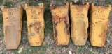 (5) Cat teeth